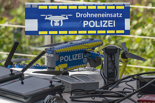 Pol3
